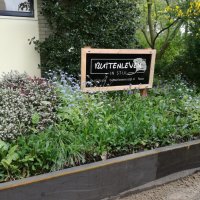 Tuin Groningen